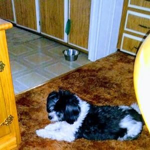 Meet your Posher, Linda